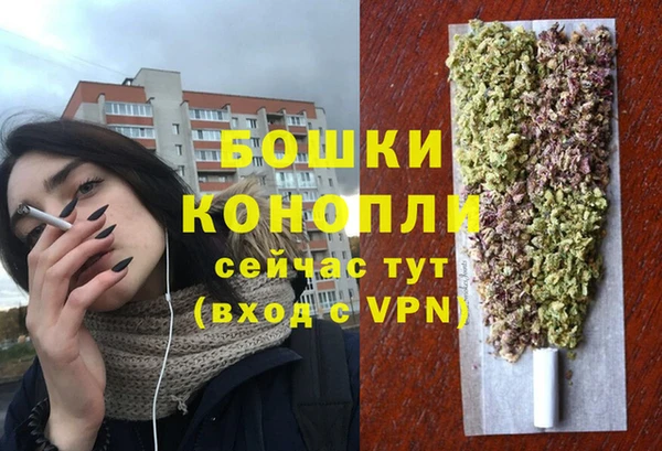 тгк Богородск