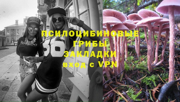 крисы Богданович