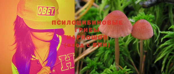 тгк Богородск