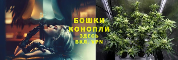 крисы Богданович