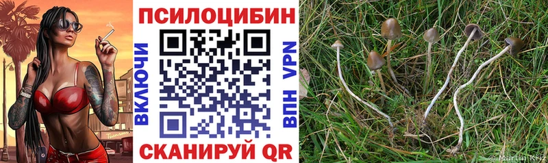 Псилоцибиновые грибы Cubensis  купить наркотик  Самара 
